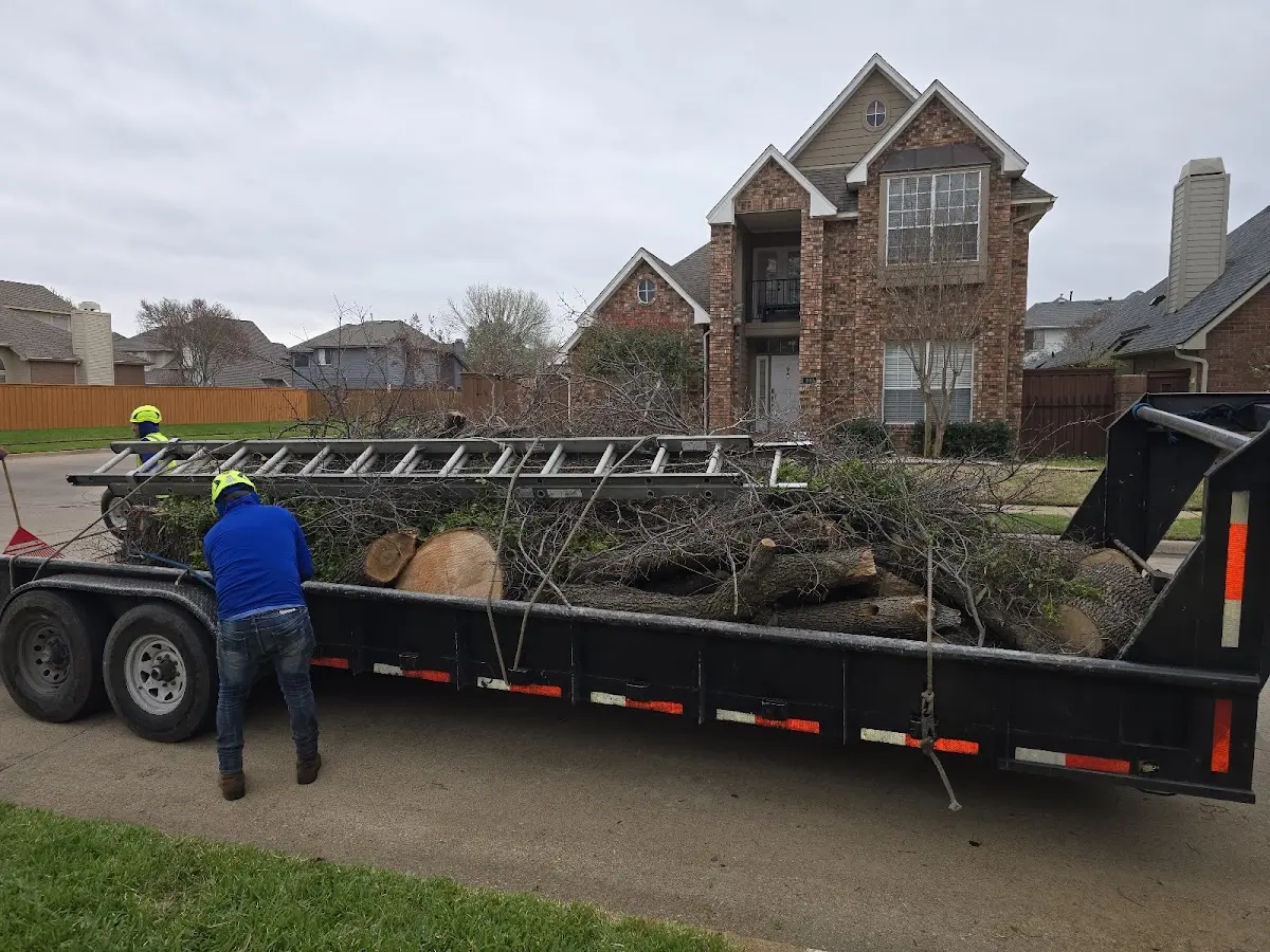 Expert Tree Fertilization with proper safety equipment in West Groton
